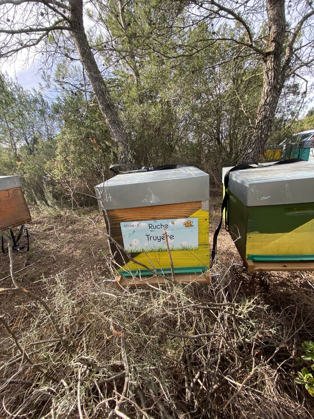 La ruche Truyère