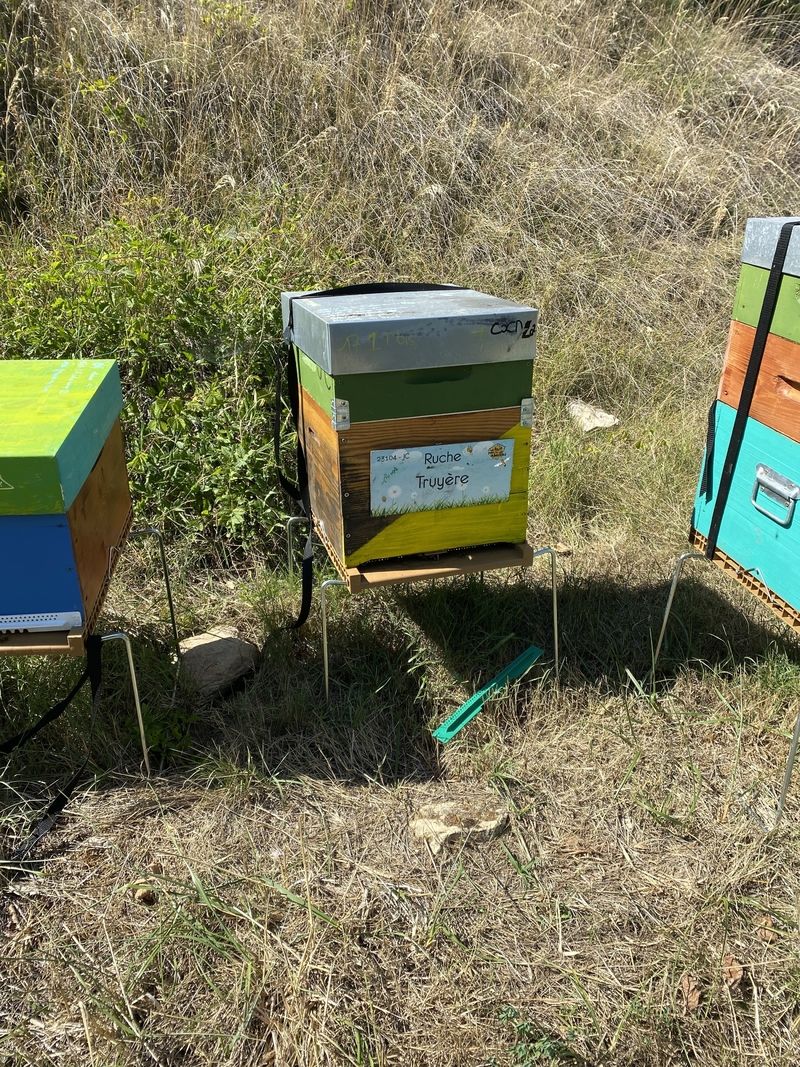 La ruche Truyère