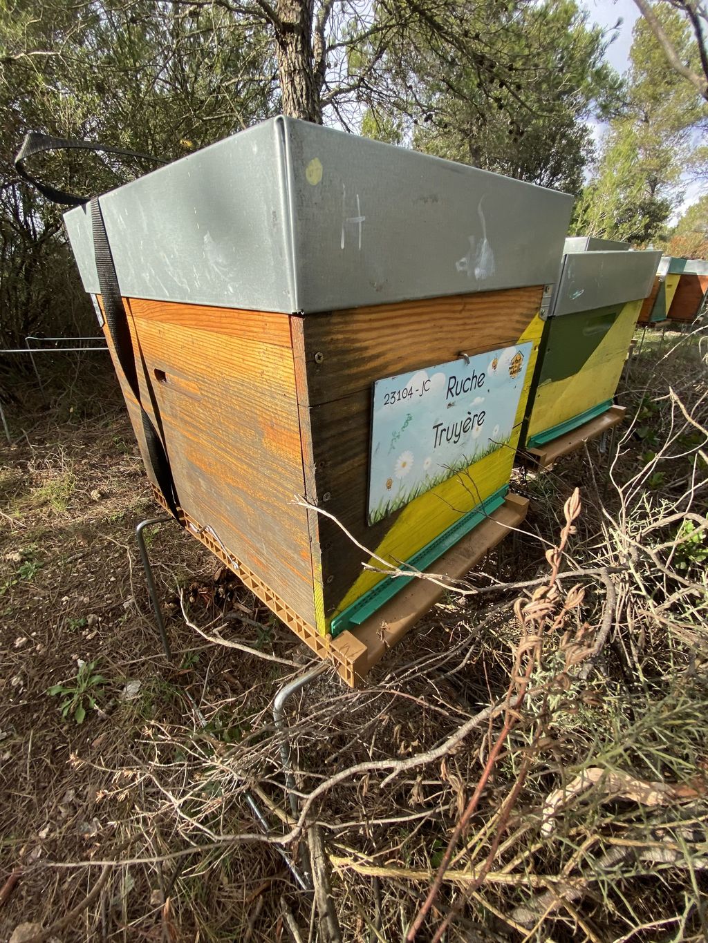 La ruche Truyère