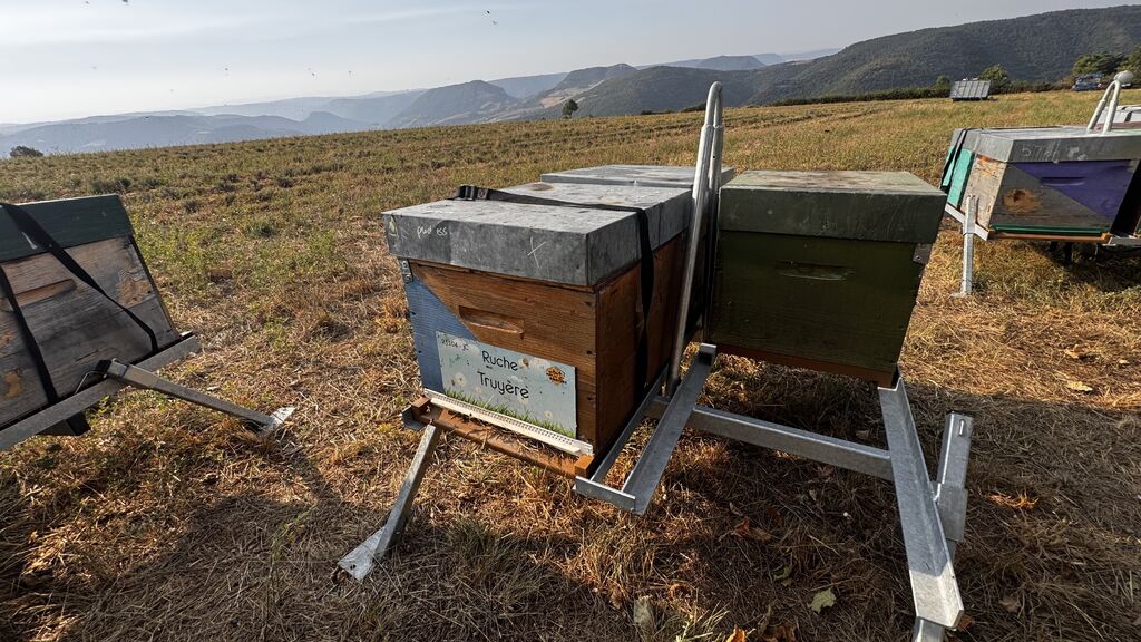 La ruche Truyère
