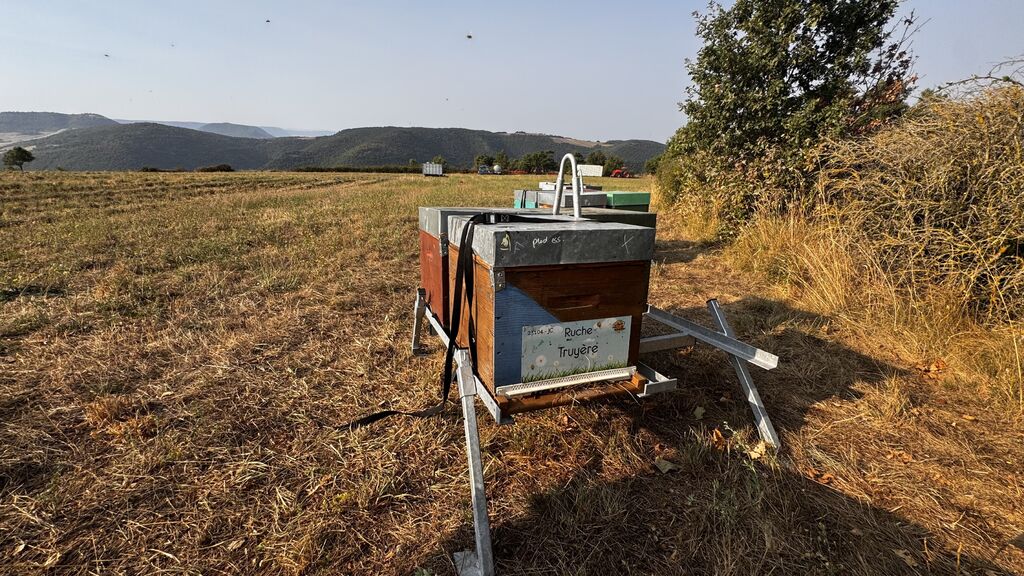 La ruche Truyère