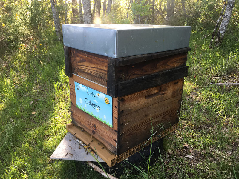 La ruche Colagne