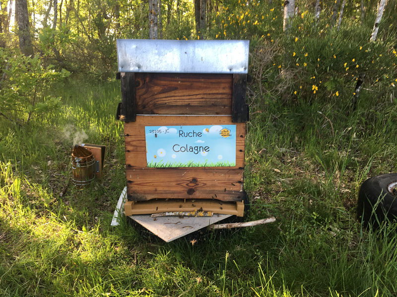 La ruche Colagne