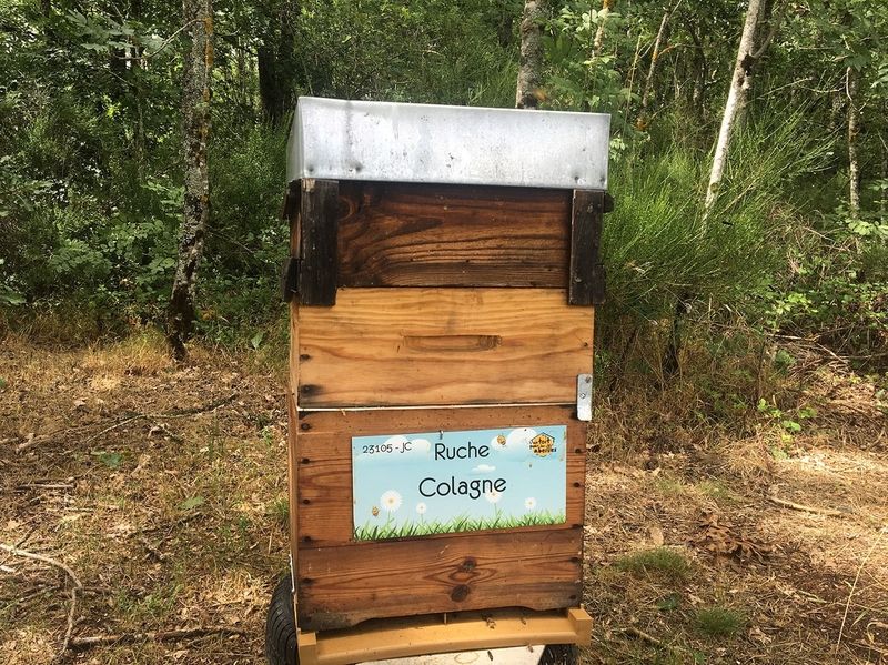 La ruche Colagne