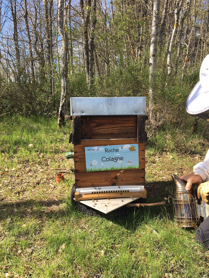La ruche Colagne