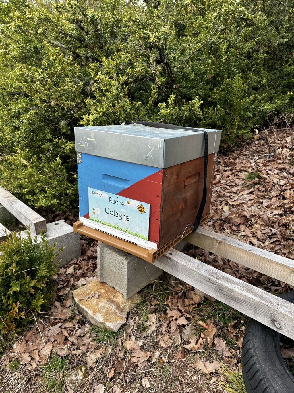 La ruche Colagne