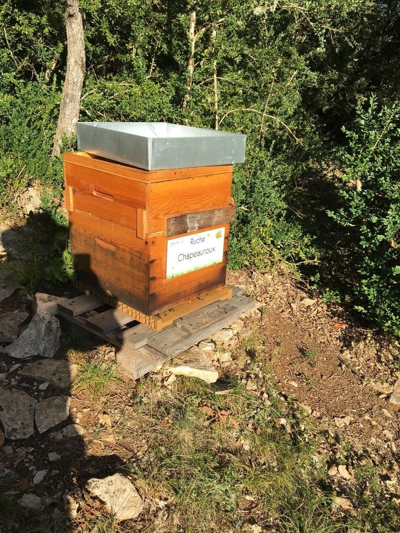 La ruche Chapeauroux