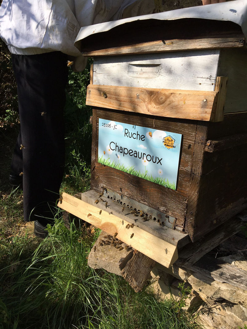 La ruche Chapeauroux