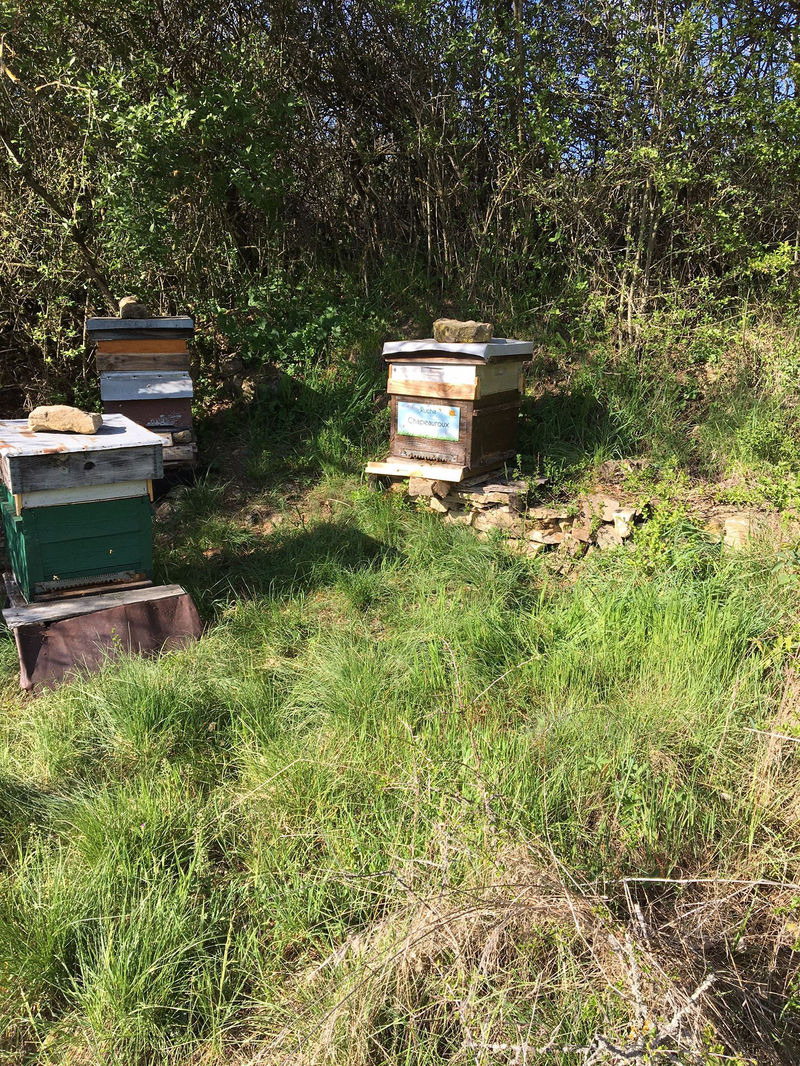 La ruche Chapeauroux