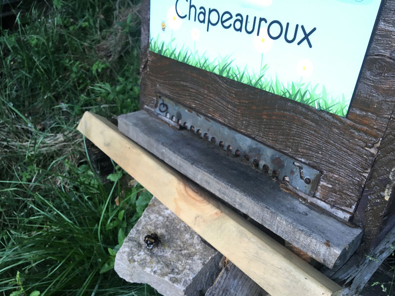 La ruche Chapeauroux