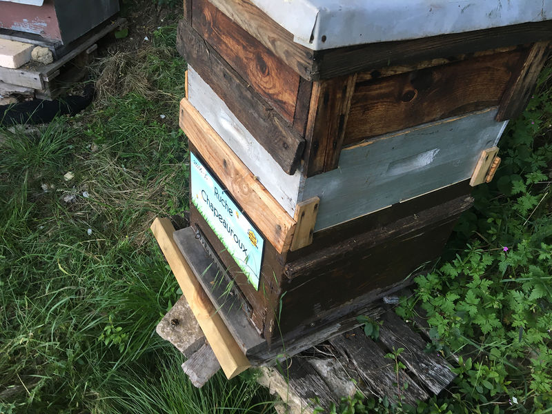 La ruche Chapeauroux