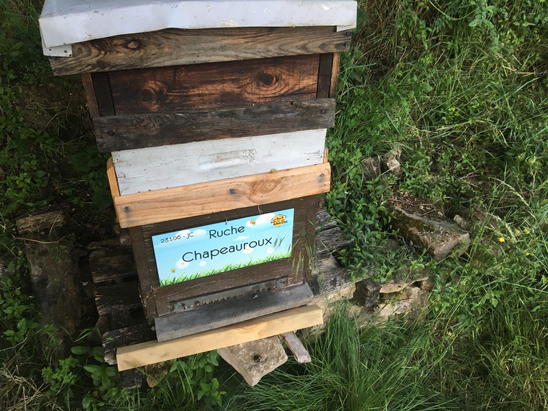 La ruche Chapeauroux