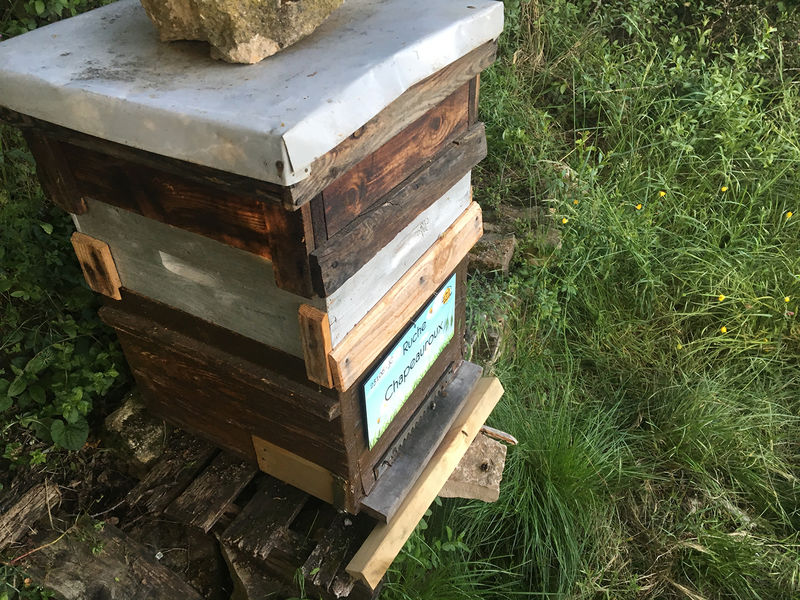 La ruche Chapeauroux