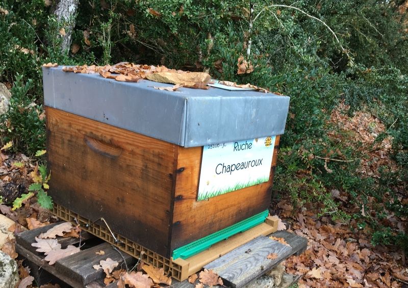 La ruche Chapeauroux