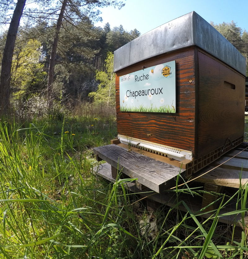 La ruche Chapeauroux