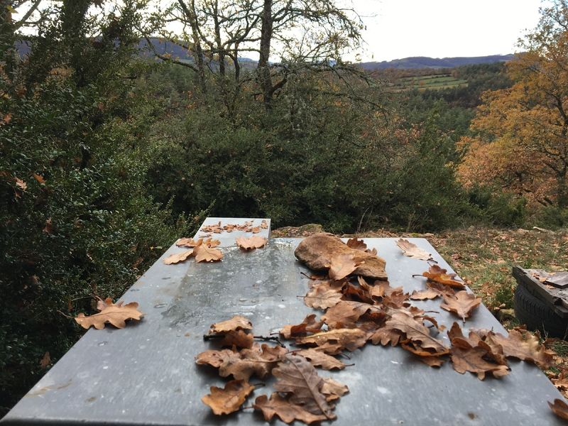 La ruche Chapeauroux