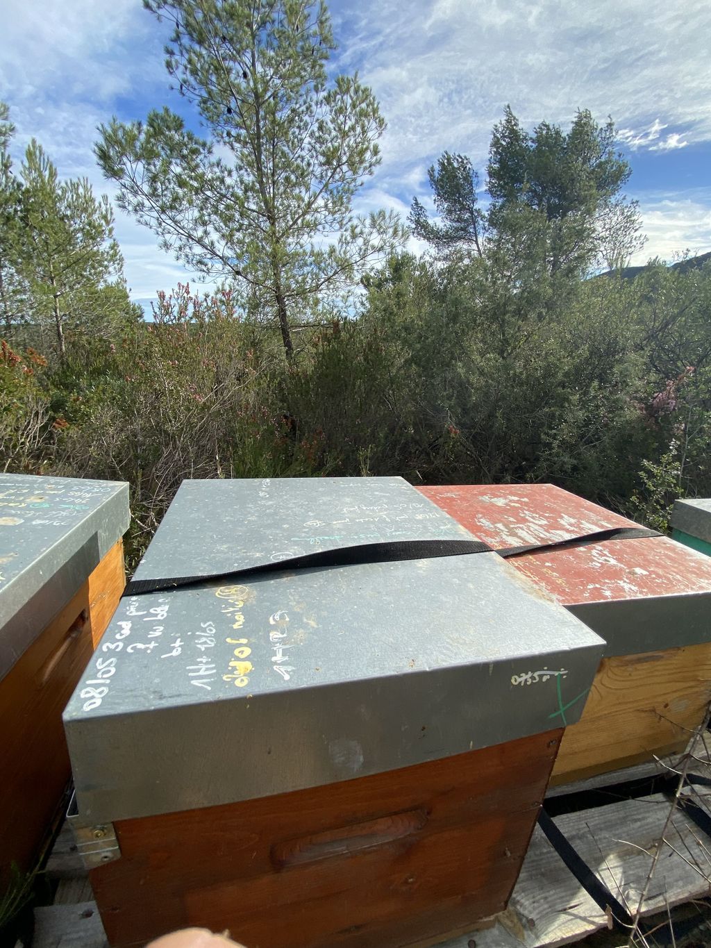 La ruche Chapeauroux