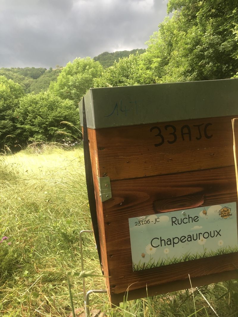 La ruche Chapeauroux