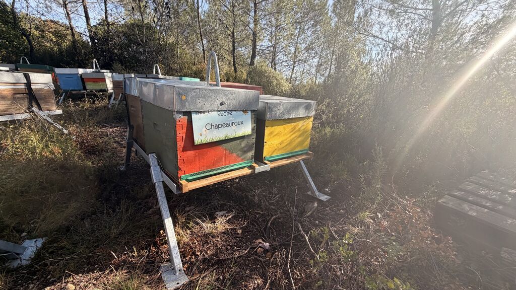 La ruche Chapeauroux