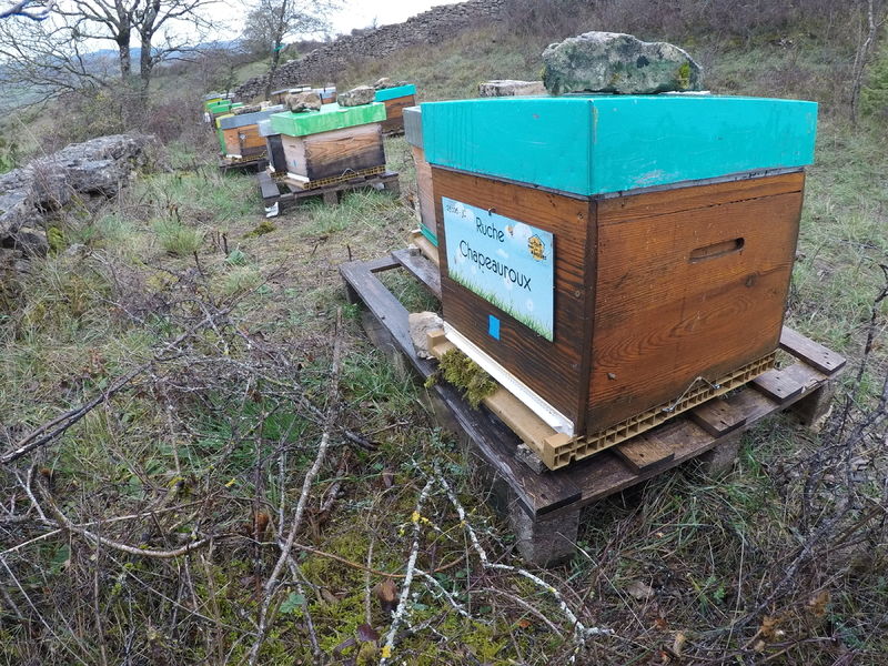 La ruche Chapeauroux