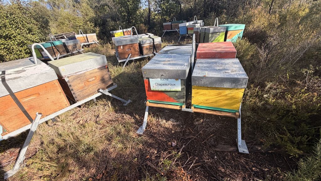 La ruche Chapeauroux