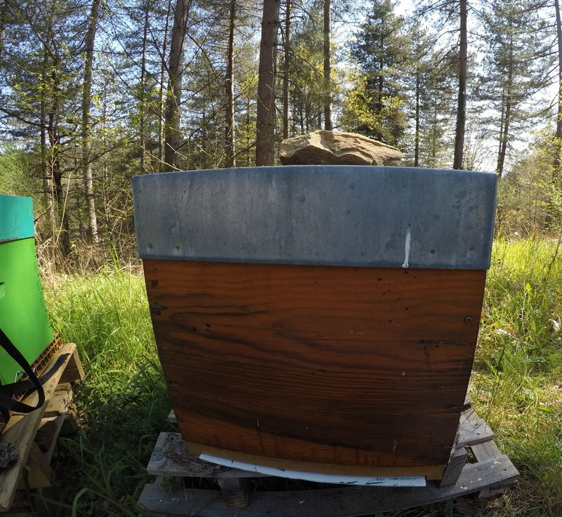 La ruche Chapeauroux