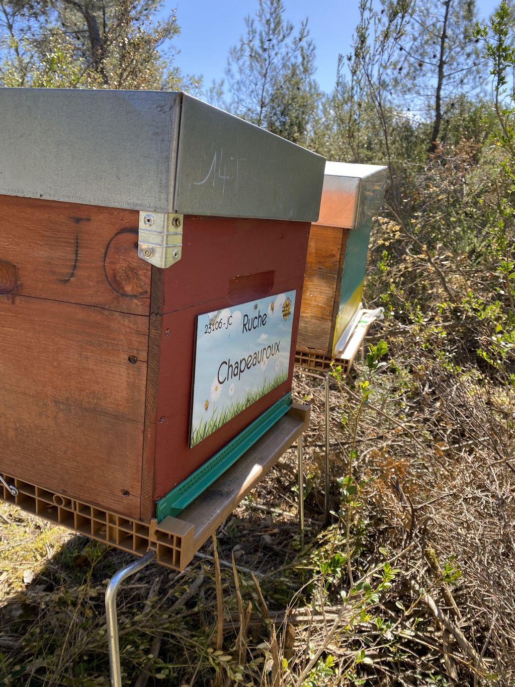 La ruche Chapeauroux