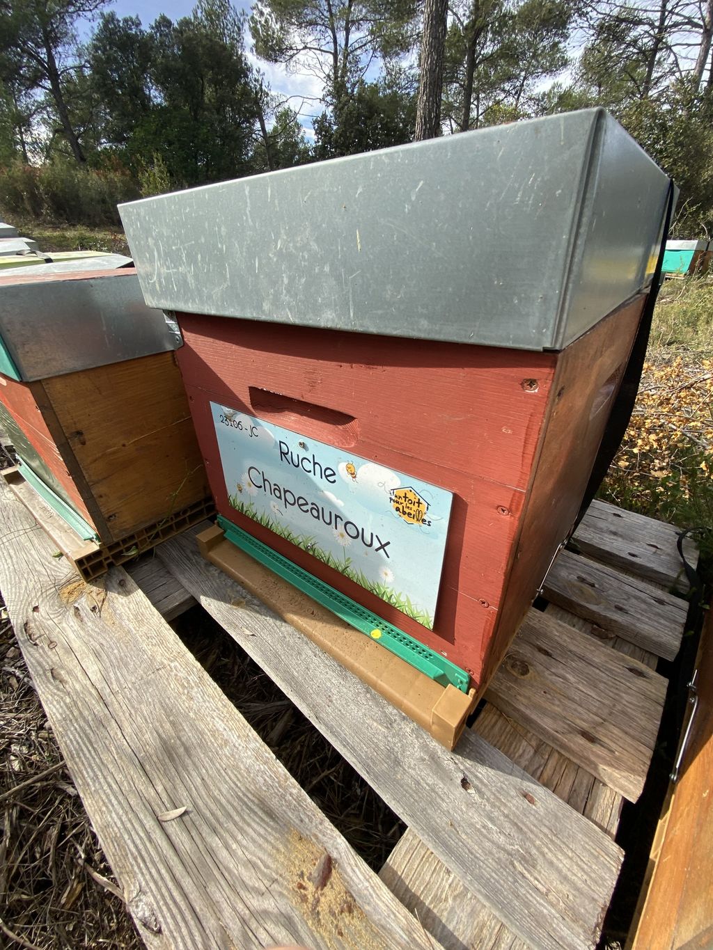 La ruche Chapeauroux