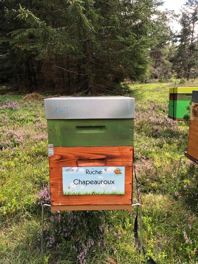 La ruche Chapeauroux