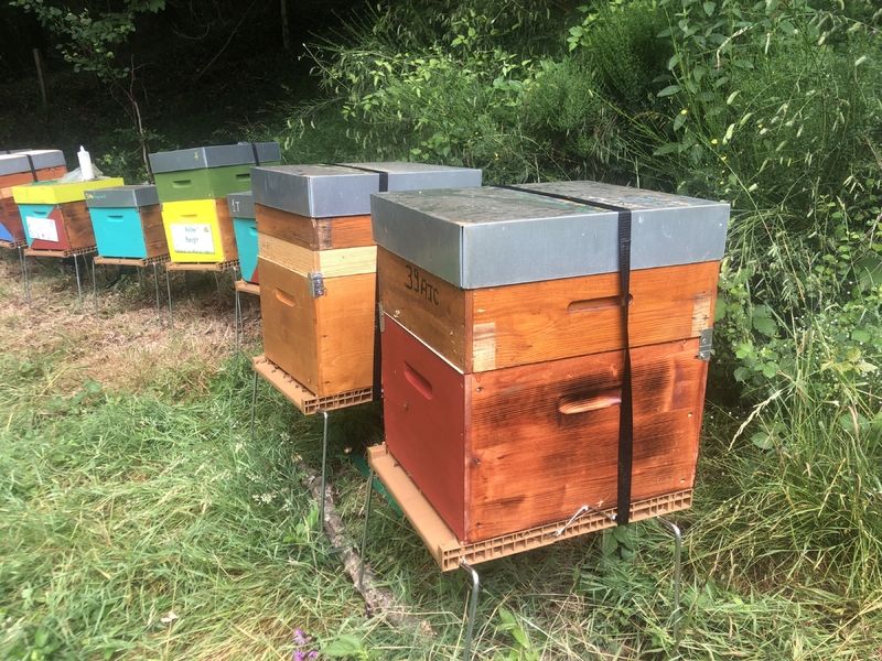 La ruche Chapeauroux