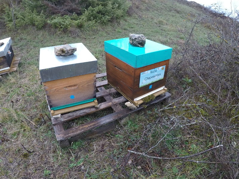 La ruche Chapeauroux