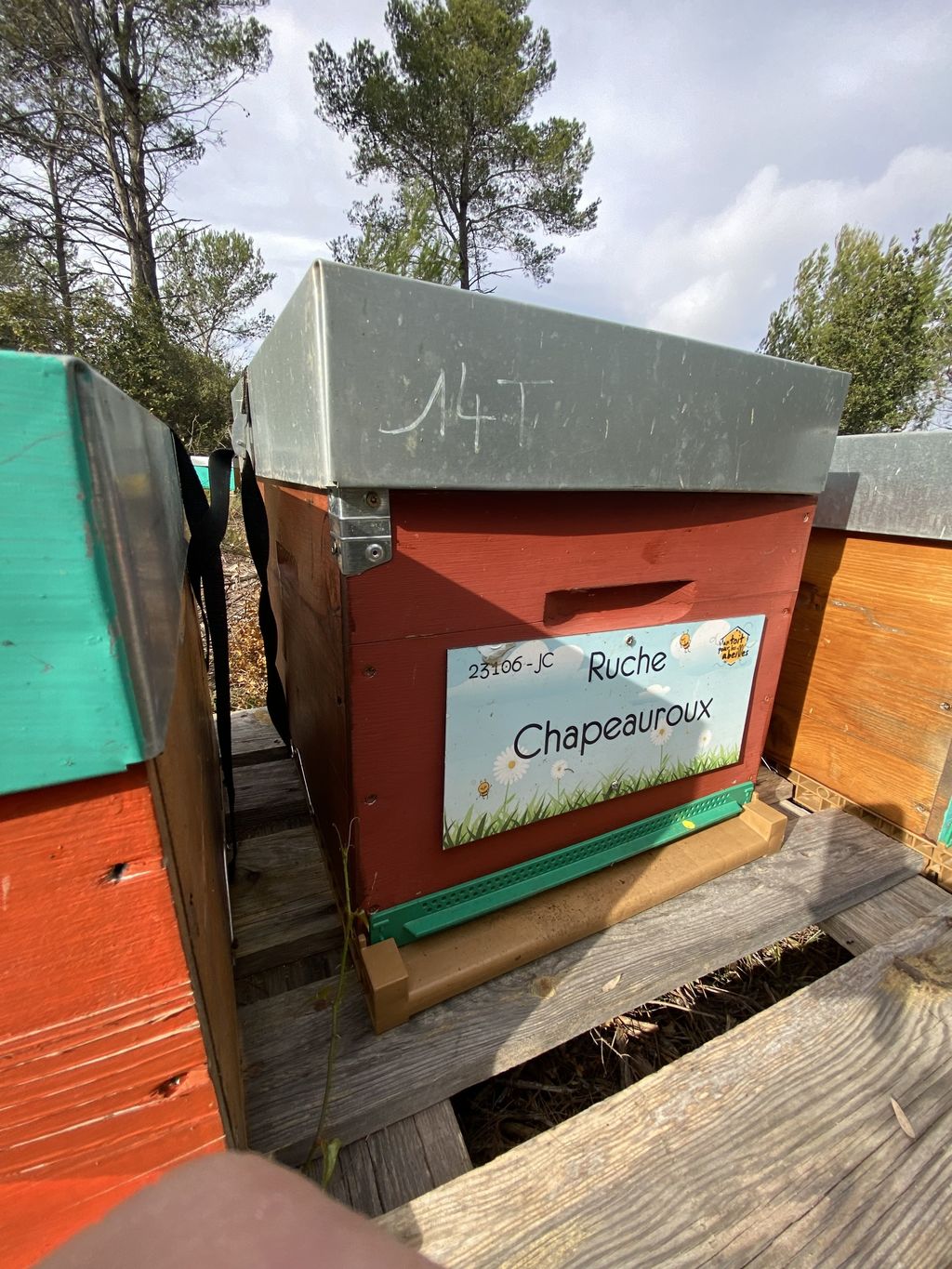 La ruche Chapeauroux