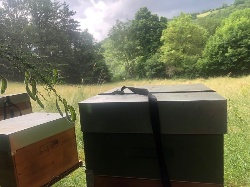 La ruche Chapeauroux