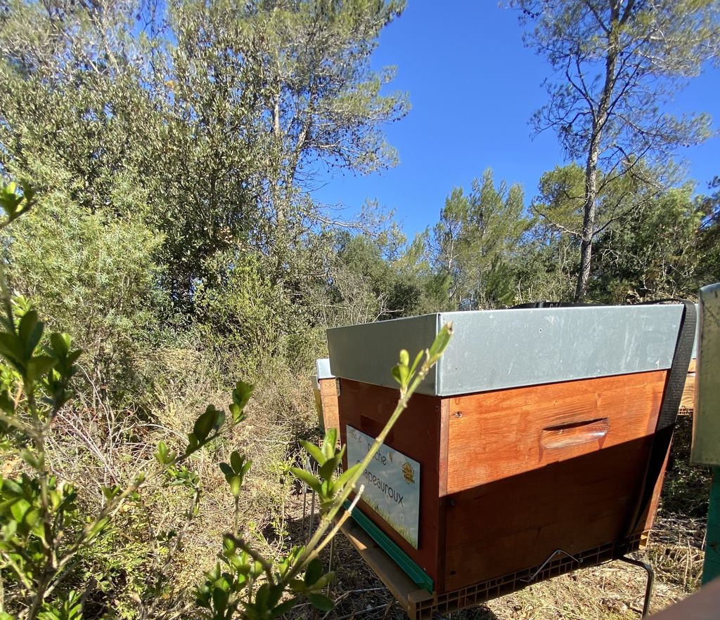 La ruche Chapeauroux