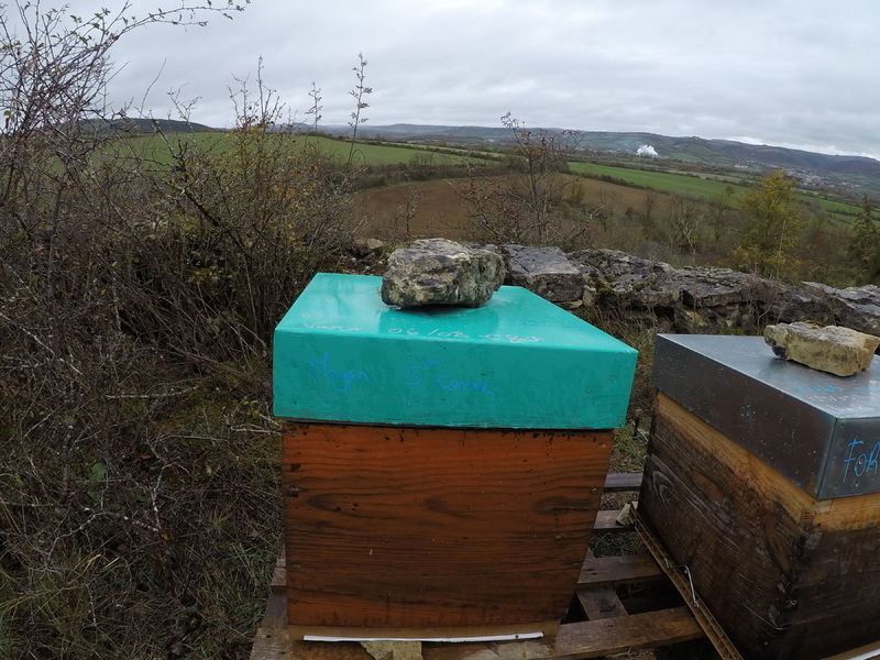 La ruche Chapeauroux