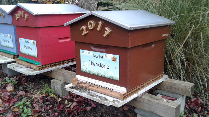La ruche Théodoric