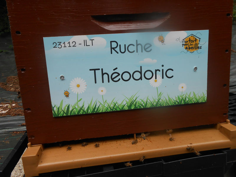 La ruche Théodoric