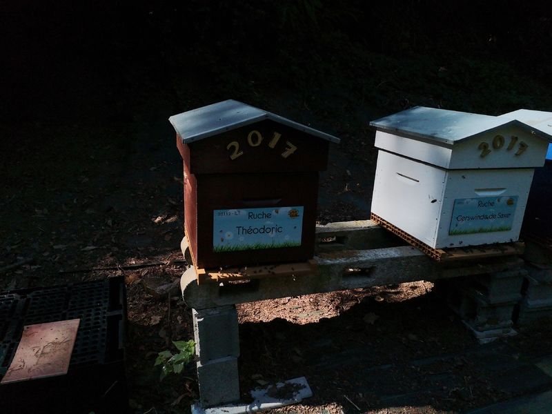 La ruche Théodoric
