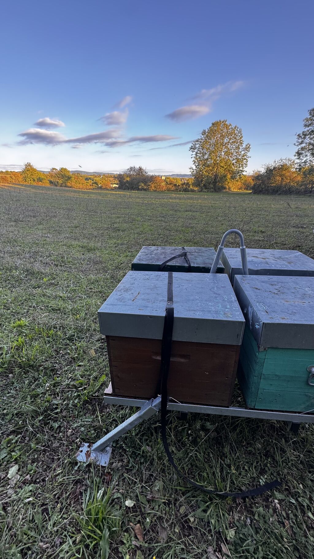 La ruche BAK SYSTEMES