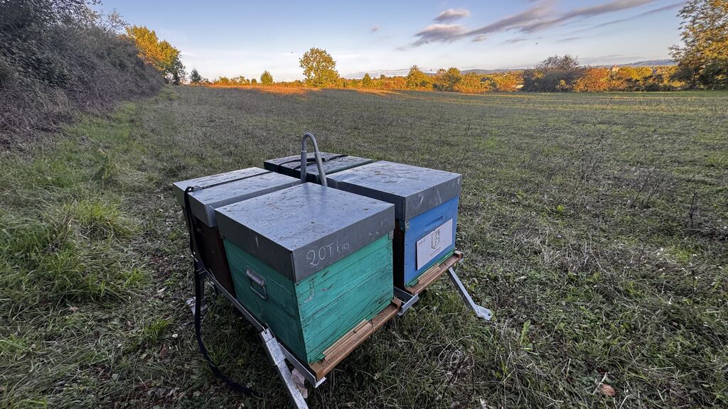 La ruche BAK SYSTEMES