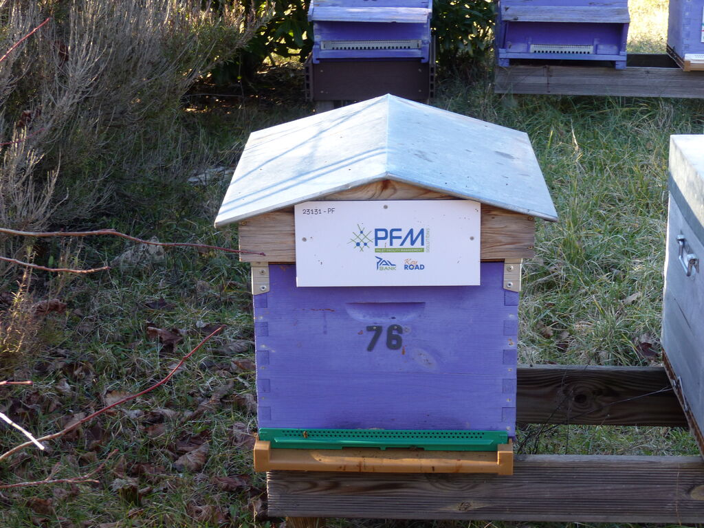 La ruche Pfm-solutions