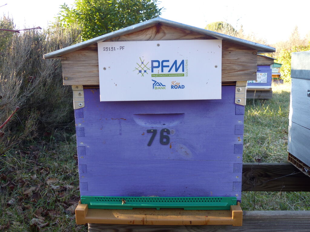 La ruche Pfm-solutions