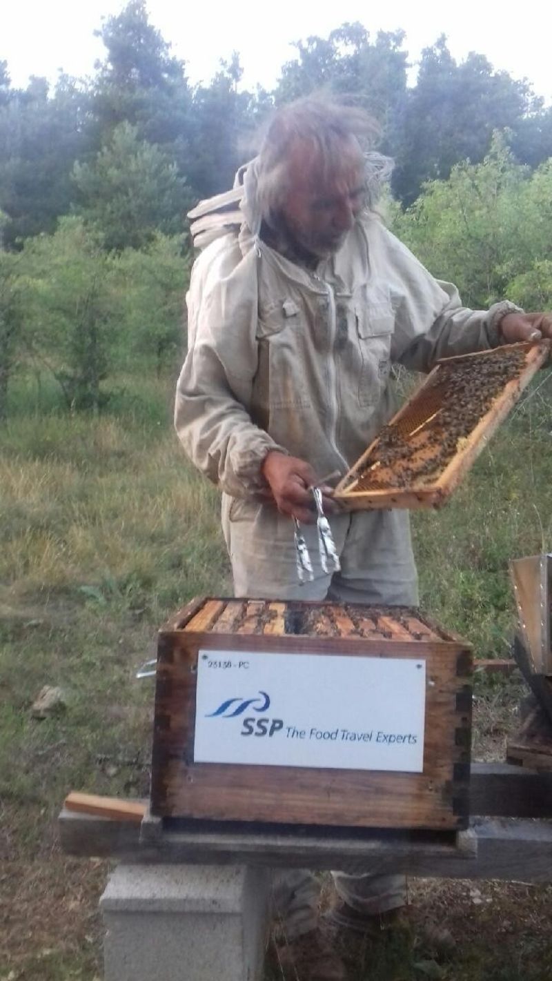 La ruche SSP