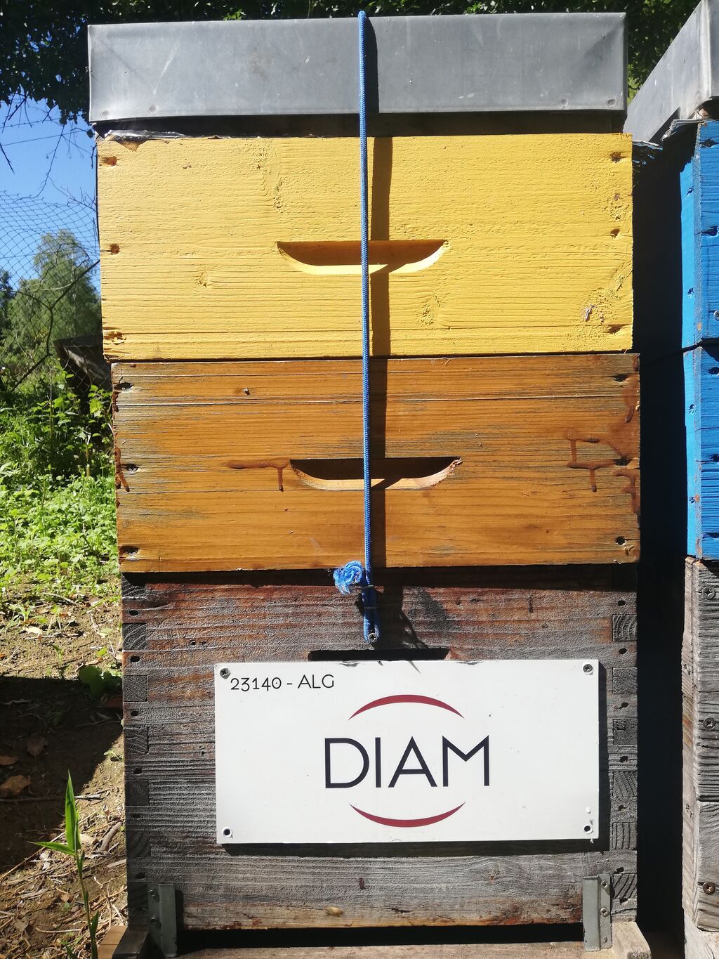 La ruche DIAM BOUCHAGE SAS