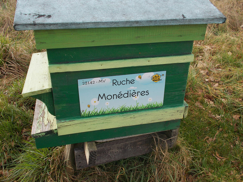 La ruche Monédières