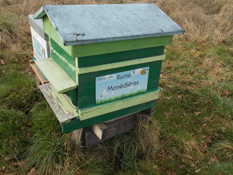 La ruche Monédières