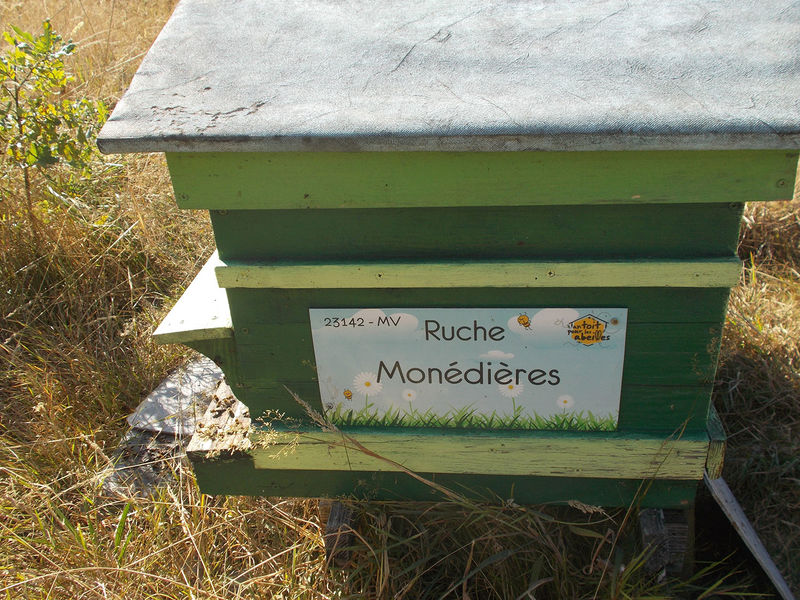 La ruche Monédières