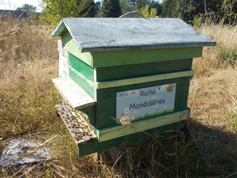 La ruche Monédières