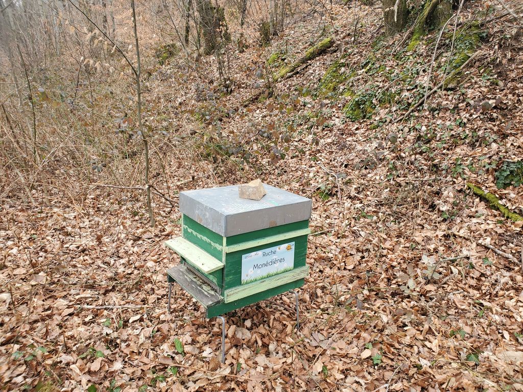 La ruche Monédières