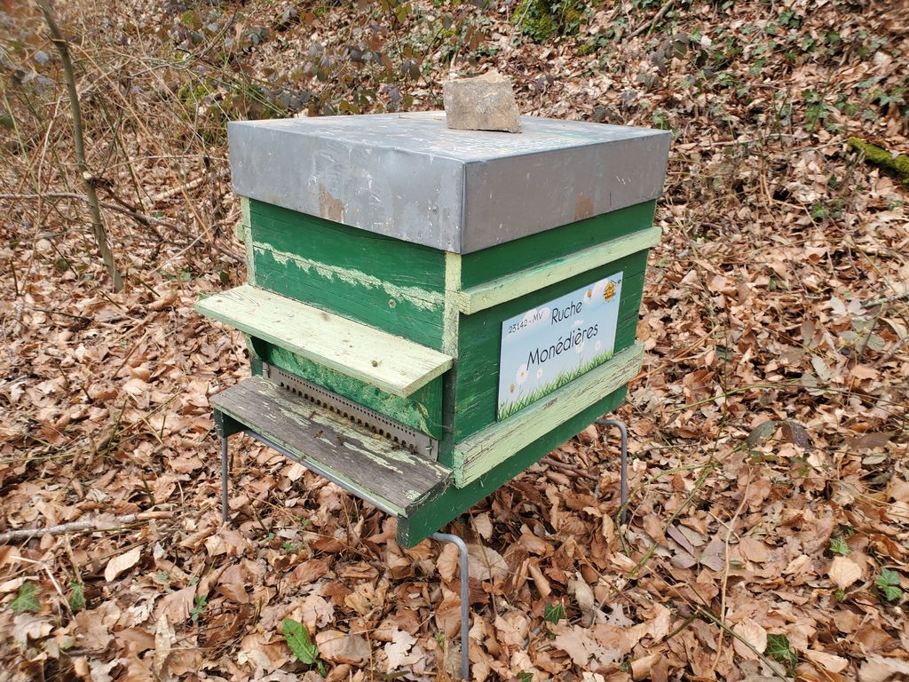 La ruche Monédières